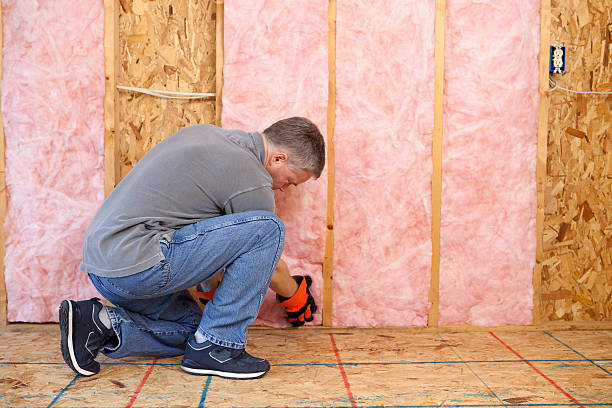 Best Insulation for New Construction  in Raynham Center, MA