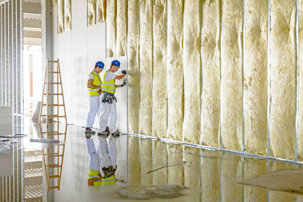 Best Attic Insulation Installation  in Raynham Center, MA